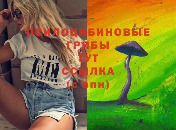 мдпв Карталы