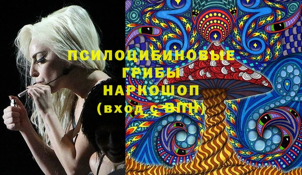 твердый Каменногорск