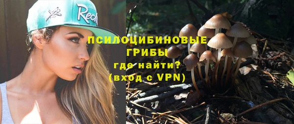 твердый Белоозёрский