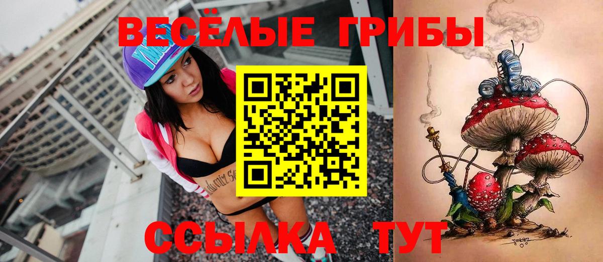 Галлюциногенные грибы Psilocybine cubensis Якутск