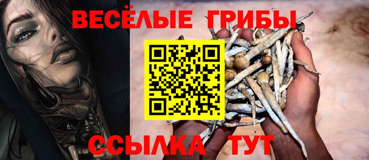 Псилоцибиновые грибы ЛСД  даркнет сайт  Якутск  Вход с VPN  Галлюциногенные грибы мухоморы 